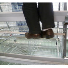 Kenya and Nigeria Hot Sale High Quality Poultry Chicken Cage / Battery Cage